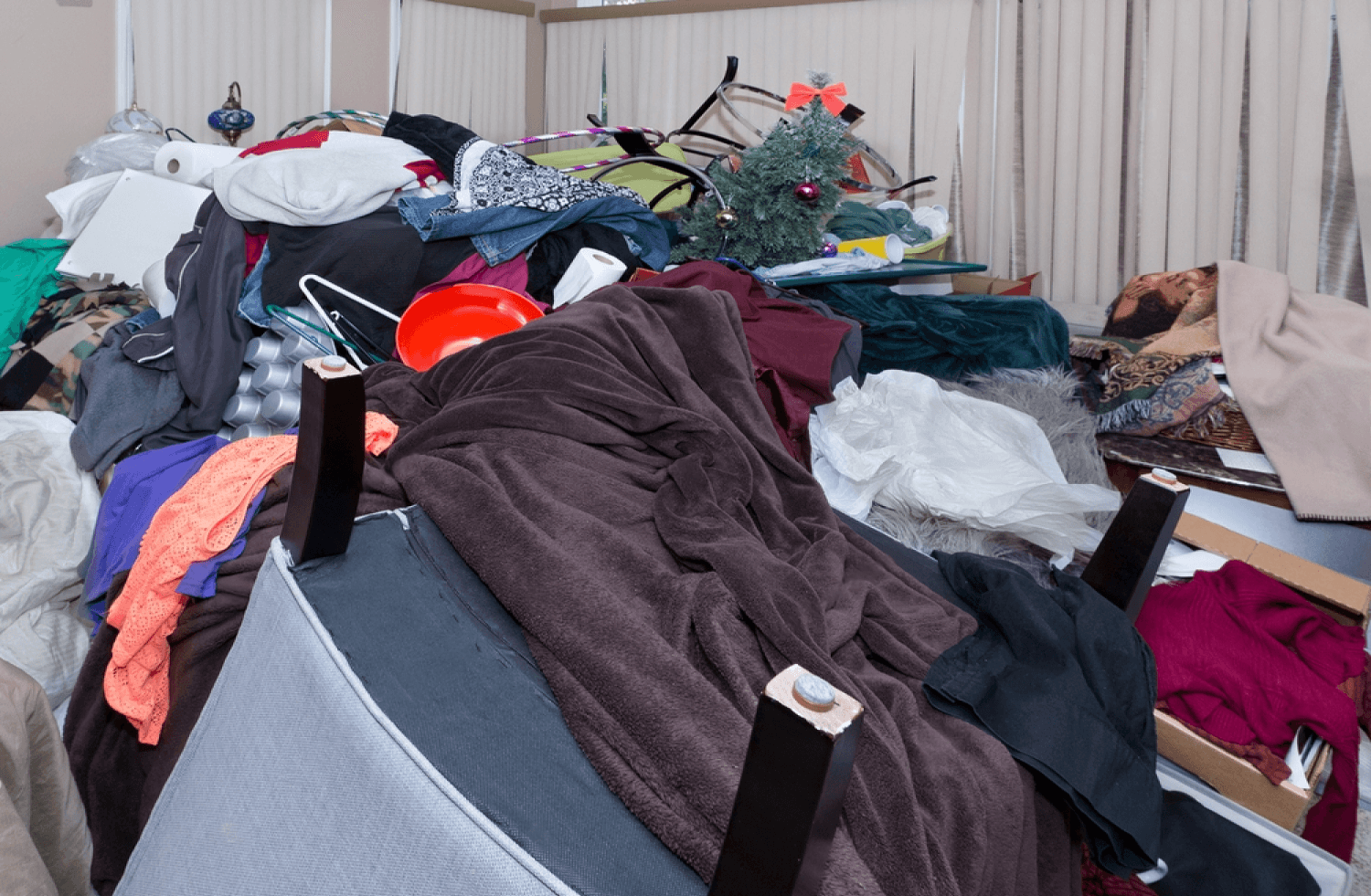 Customized hoarding cleanup service