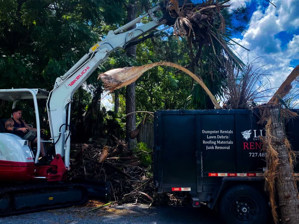 Professional Bobcat services